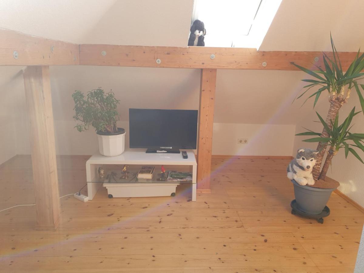 Hotel, Ferienwohnung, Zimmer Bad Driburg Buitenkant foto